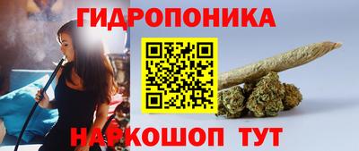 шишки Гусев