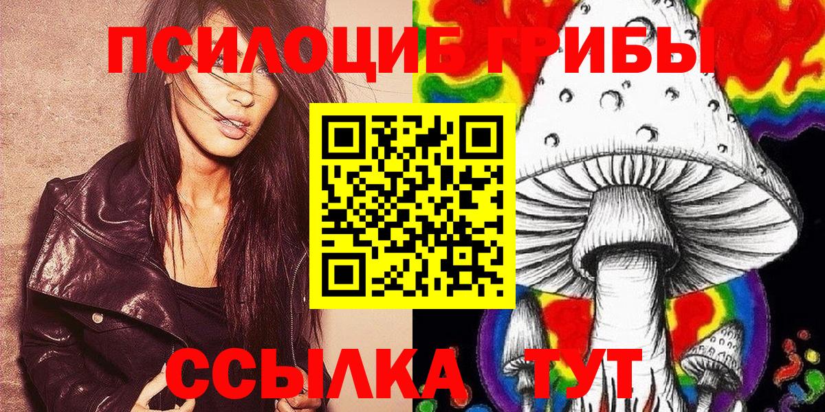 Псилоцибиновые грибы Cubensis  Вход с VPN  Гатчина 