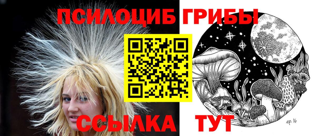 Галлюциногенные грибы Psilocybine cubensis Гатчина